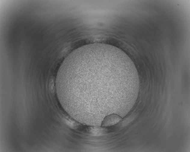 X0000064740336200602241807