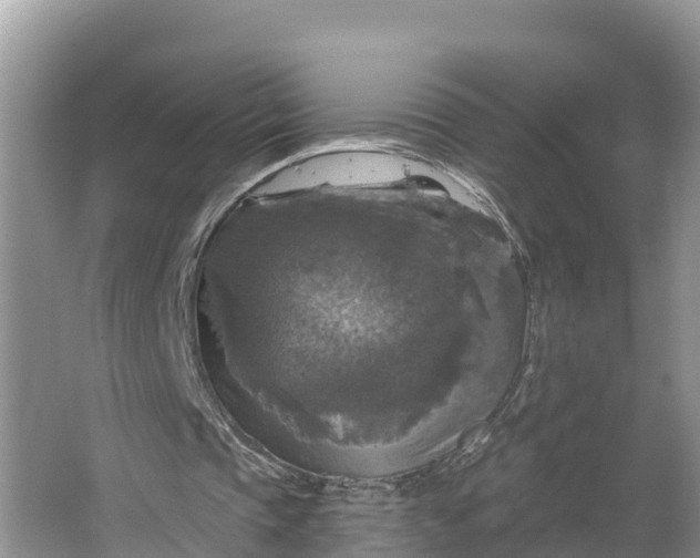 X0000064740337200602241805