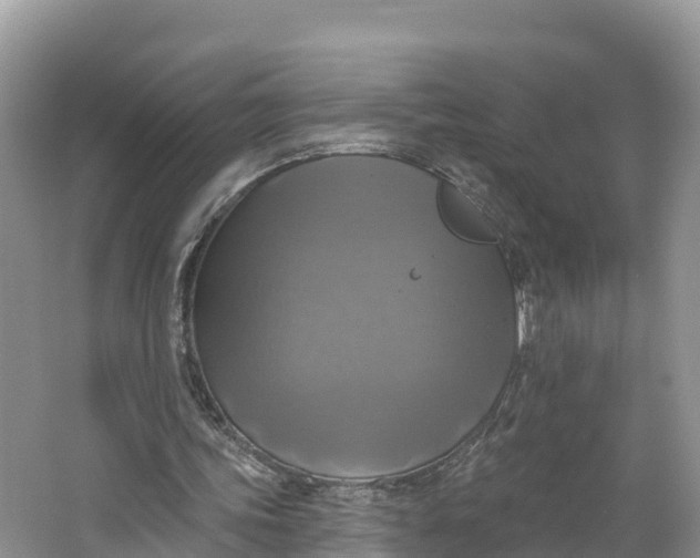 X0000064740339200602241805