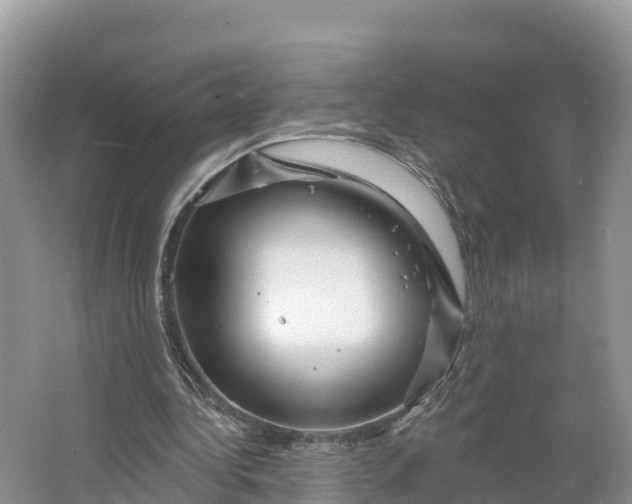 X0000064740340200602241805