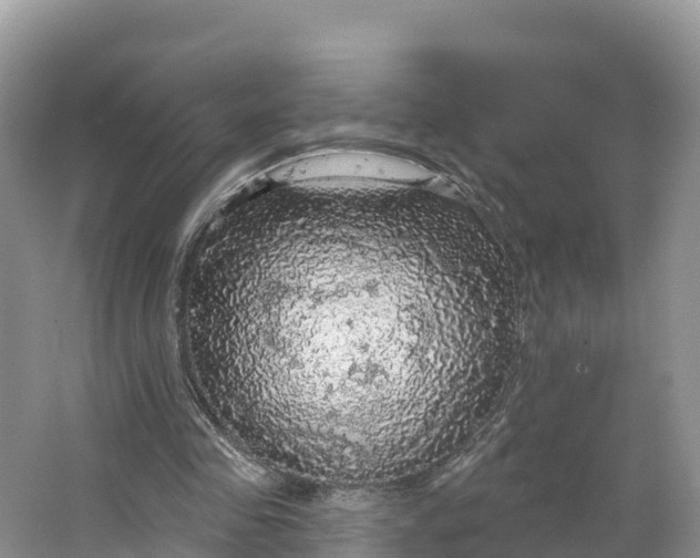 X0000064740341200602241805