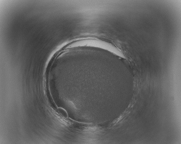 X0000064740342200602241805