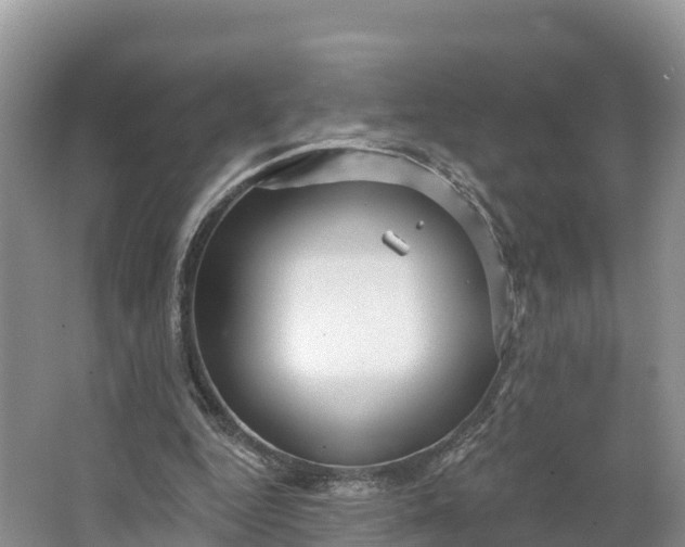 X0000064740344200602241806