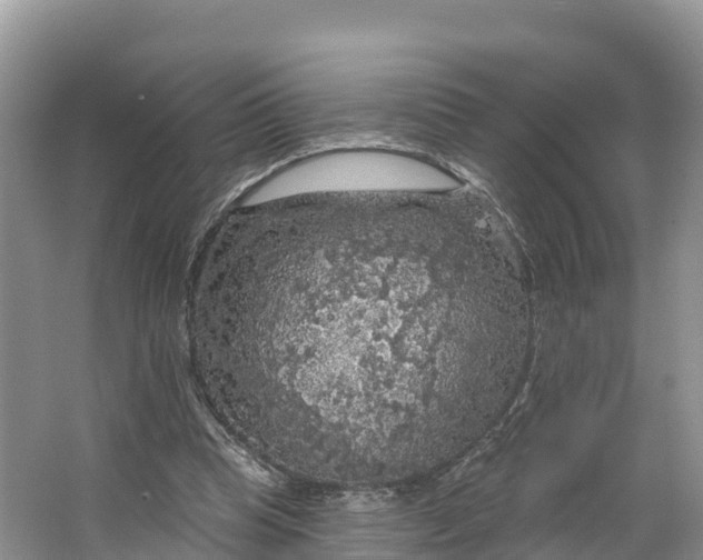 X0000064740345200602241806