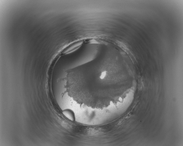 X0000064740346200602241806