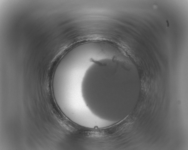 X0000064740347200602241806