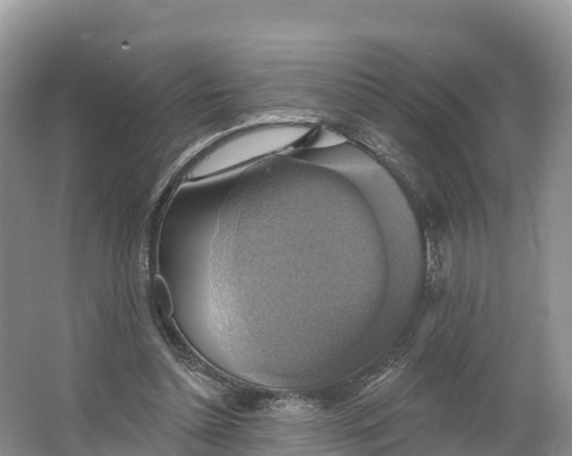 X0000064740348200602241806