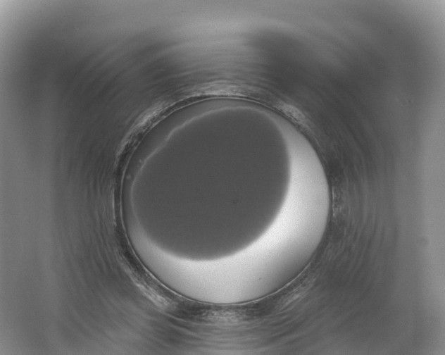 X0000064740349200602241806