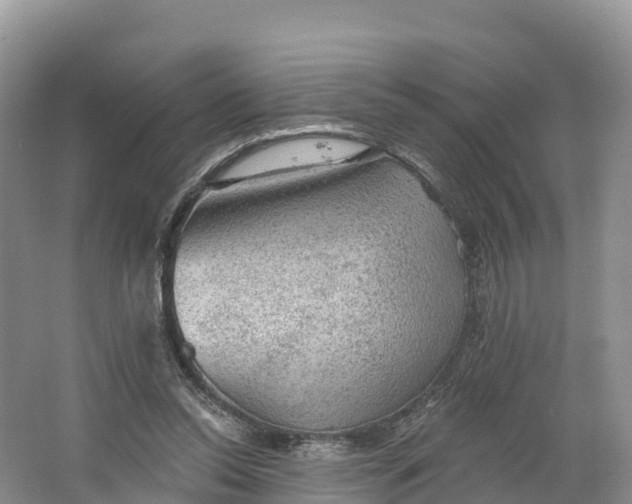 X0000064740350200602241806