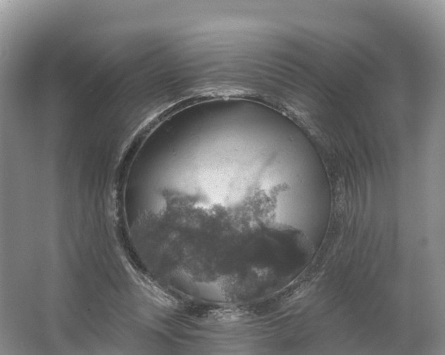 X0000064740351200602241806