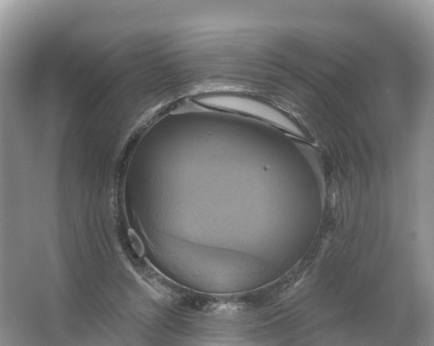 X0000064740352200602241806