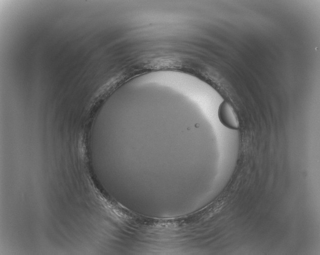 X0000064740353200602241806