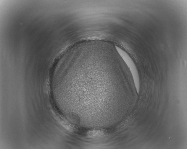 X0000064740354200602241806