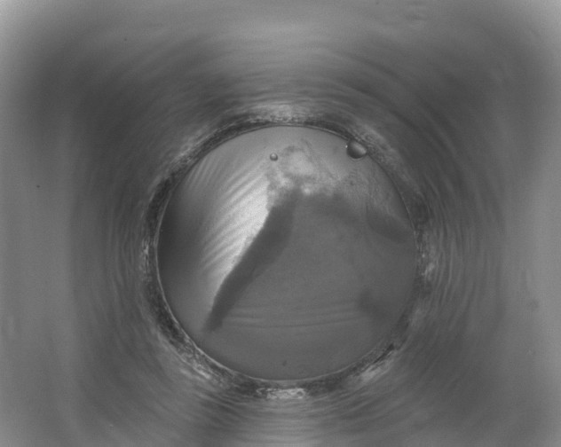 X0000064740355200602241806