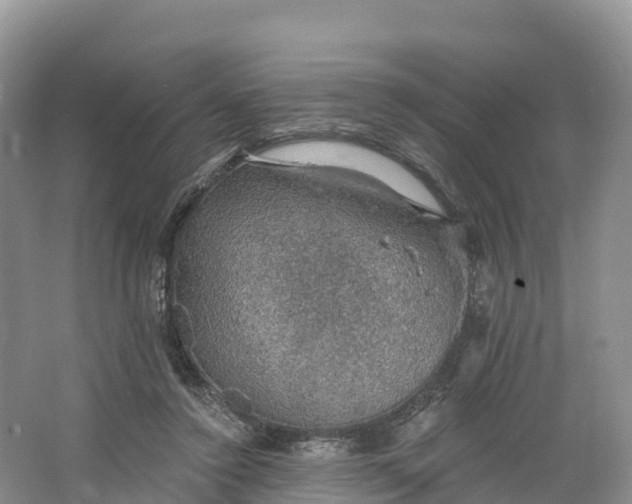 X0000064740356200602241806