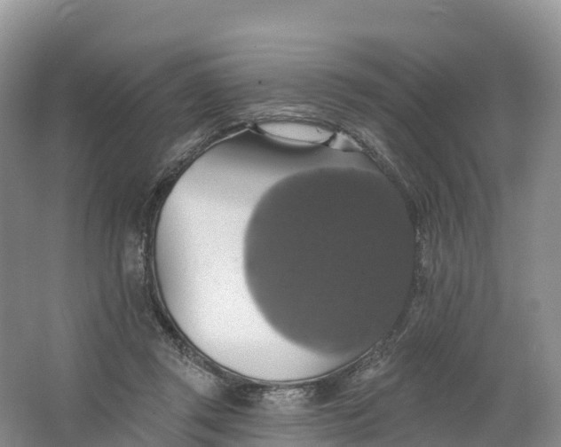 X0000064740357200602241806