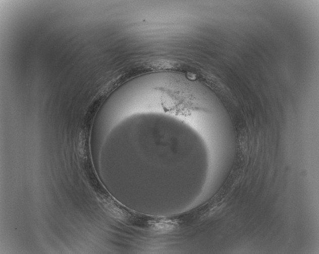 X0000064740359200602241806