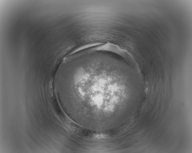 X0000064740360200602241806