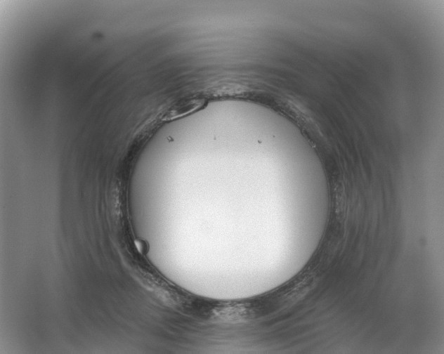 X0000064740362200602241806