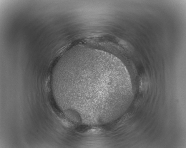 X0000064740364200602241806