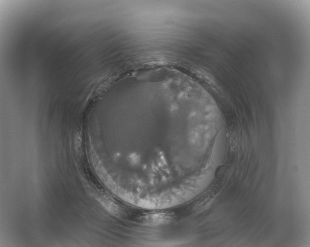 X0000064740365200602241806