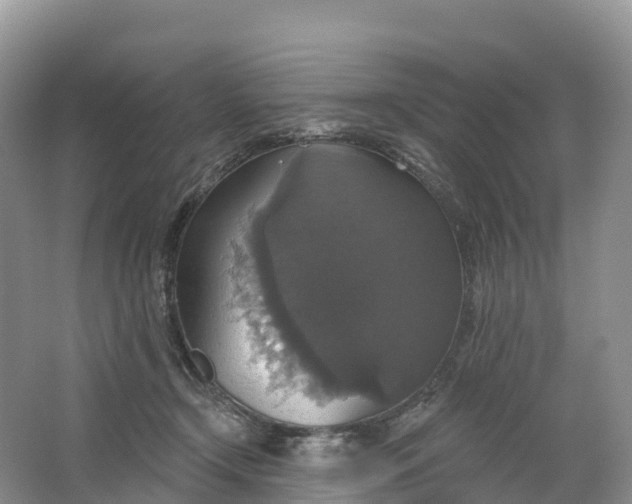 X0000064740366200602241806