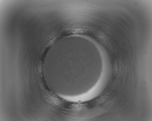 X0000064740367200602241806