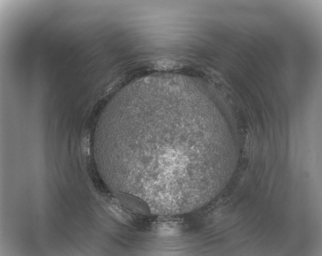 X0000064740368200602241806