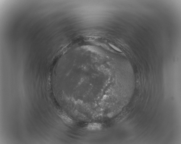 X0000064740369200602241806