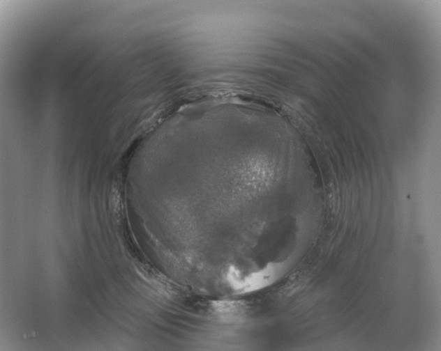 X0000064740371200602241806