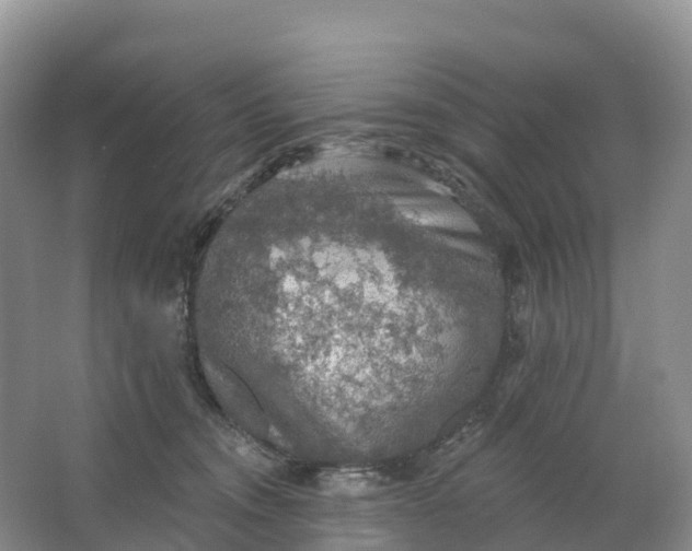 X0000064740372200602241806