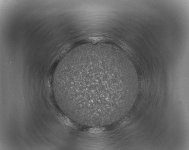 X0000064740373200602241806