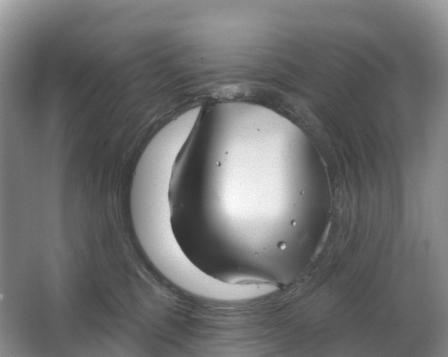 X0000064740375200602241806