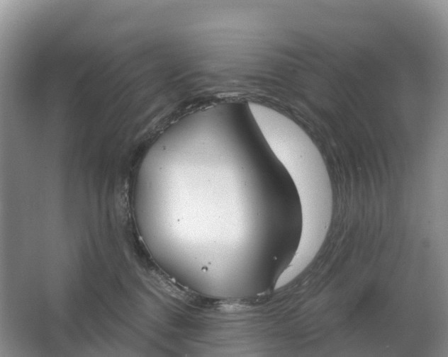 X0000064740376200602241806