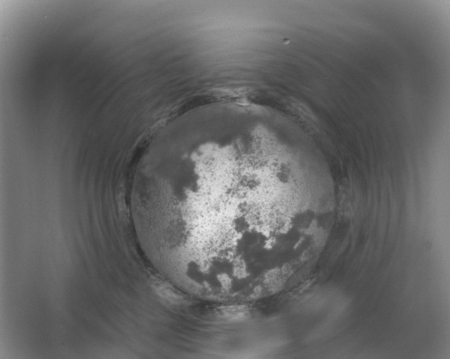 X0000064740377200602241806