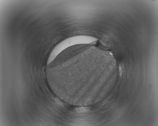 X0000064740378200602241806