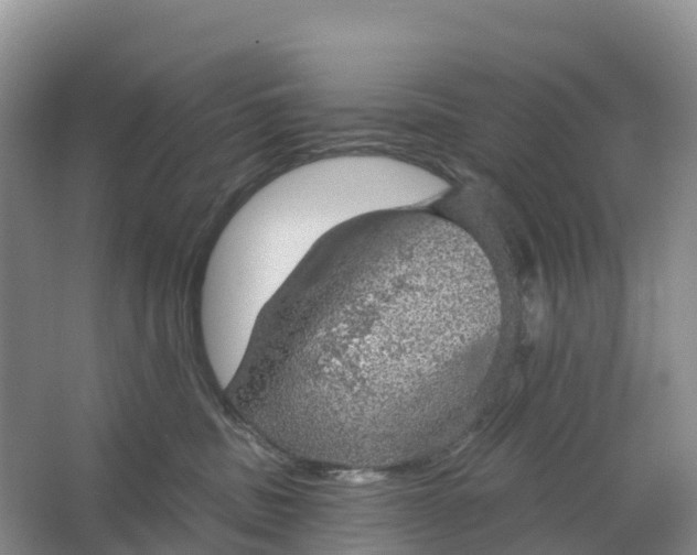 X0000064740379200602241806