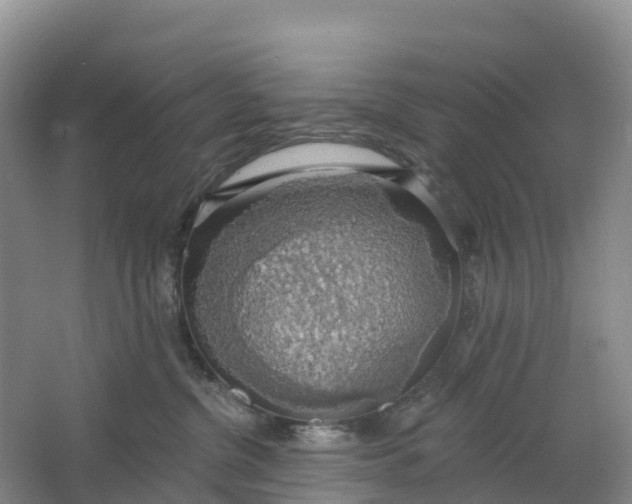 X0000064740380200602241806