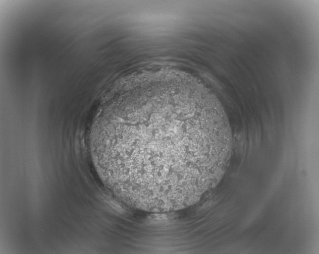 X0000064740381200602241807