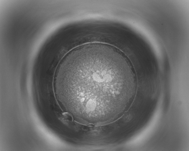 X0000064740382200602241807