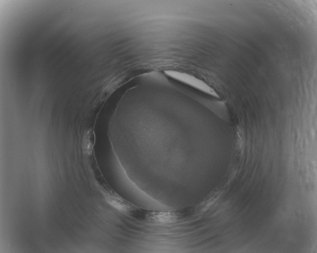 X0000064740383200602241807