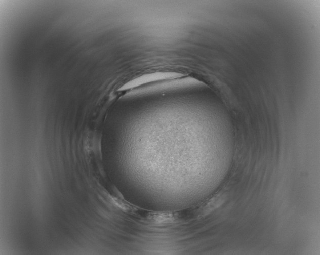 X0000064740384200602241807