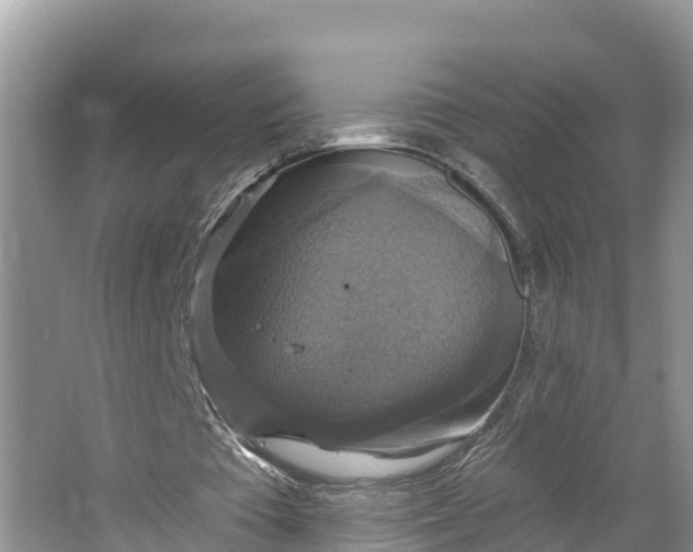 X0000064740385200602241805