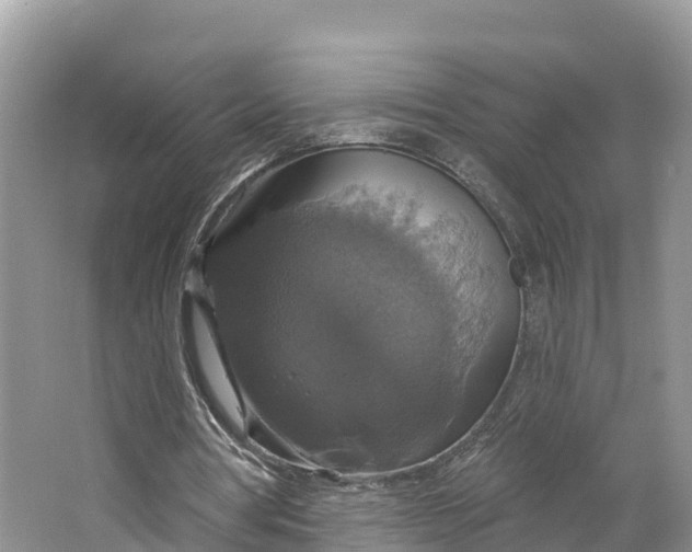 X0000064740386200602241805