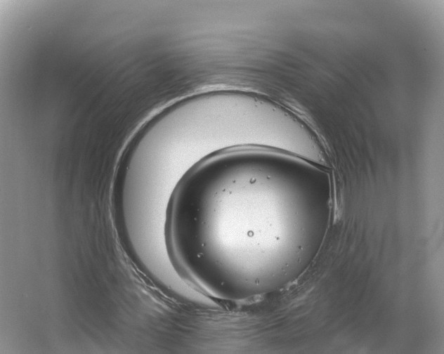 X0000064740387200602241805