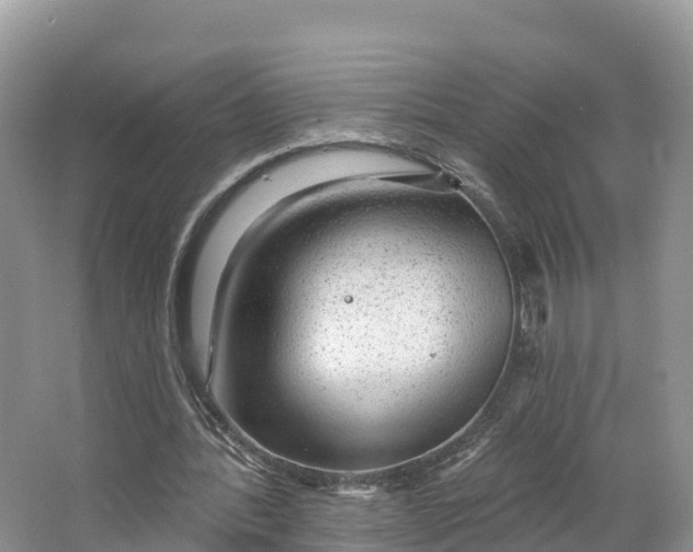 X0000064740388200602241805