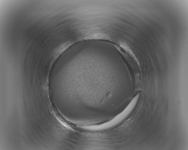 X0000064740389200602241805