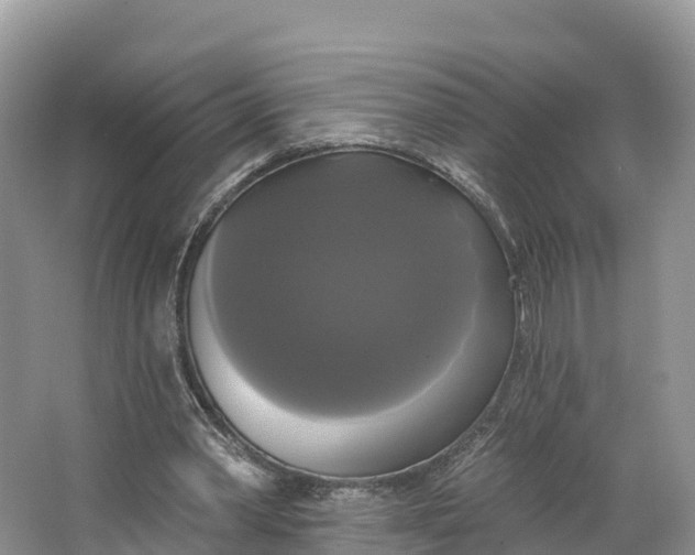 X0000064740390200602241805