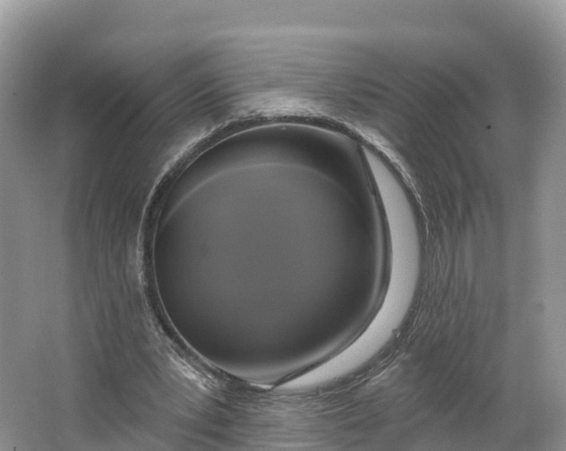 X0000064740391200602241805