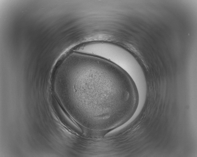 X0000064740392200602241805